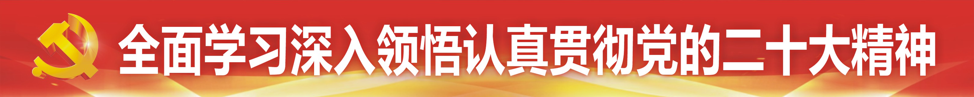 全面学习深入领悟认真贯彻党的二十大精神