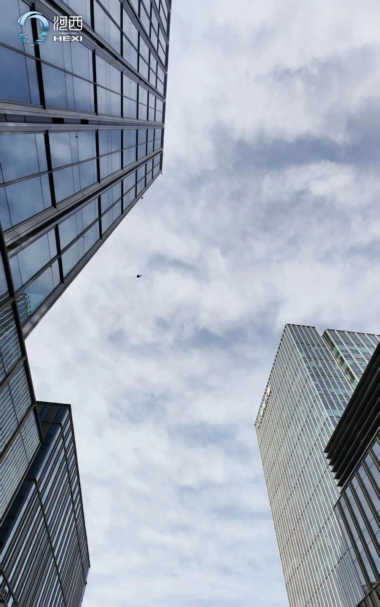 【印象西岸】生长的算法